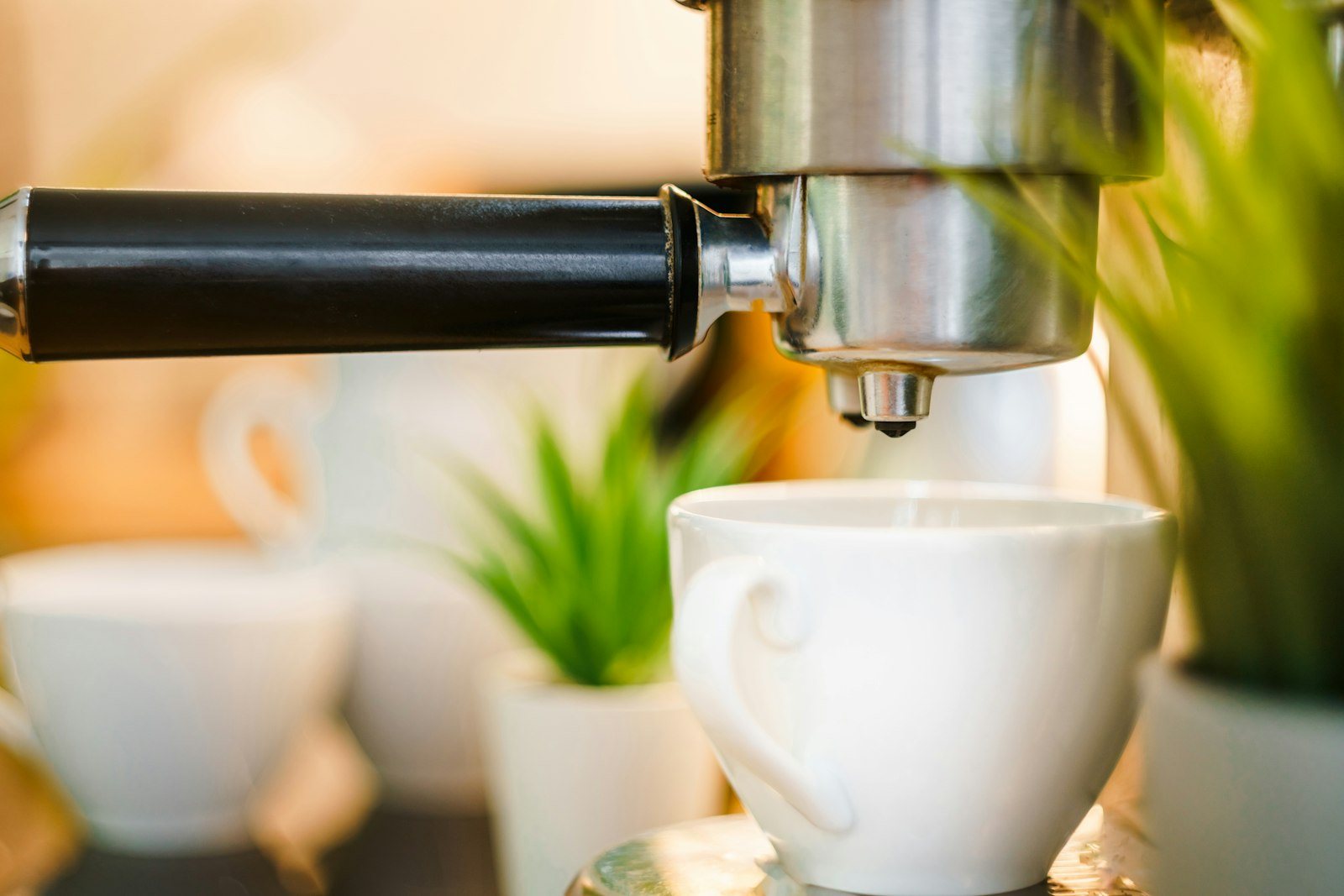 Máquina de café com plantas em volta